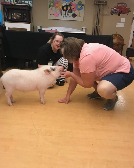 Meet the Staff | Jorge the Therapy Pig