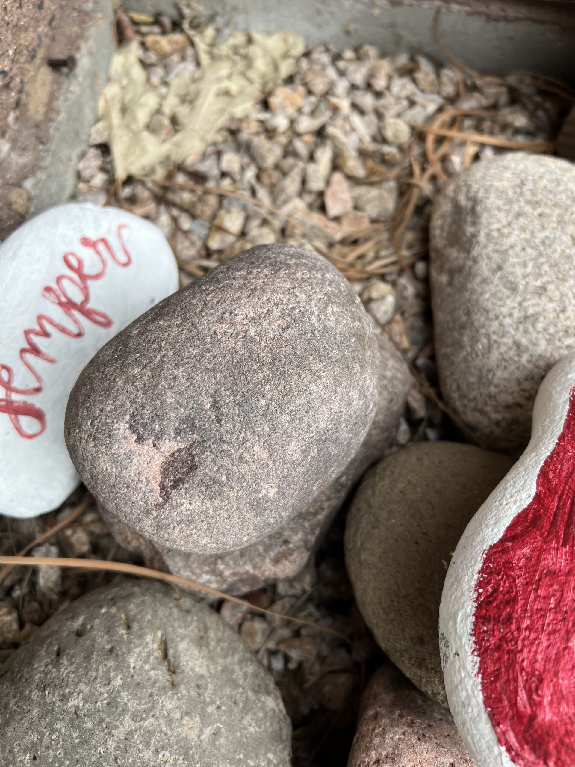 Oakwood Creative Care Red Mountain Day Club's Kindness Rocks Pile