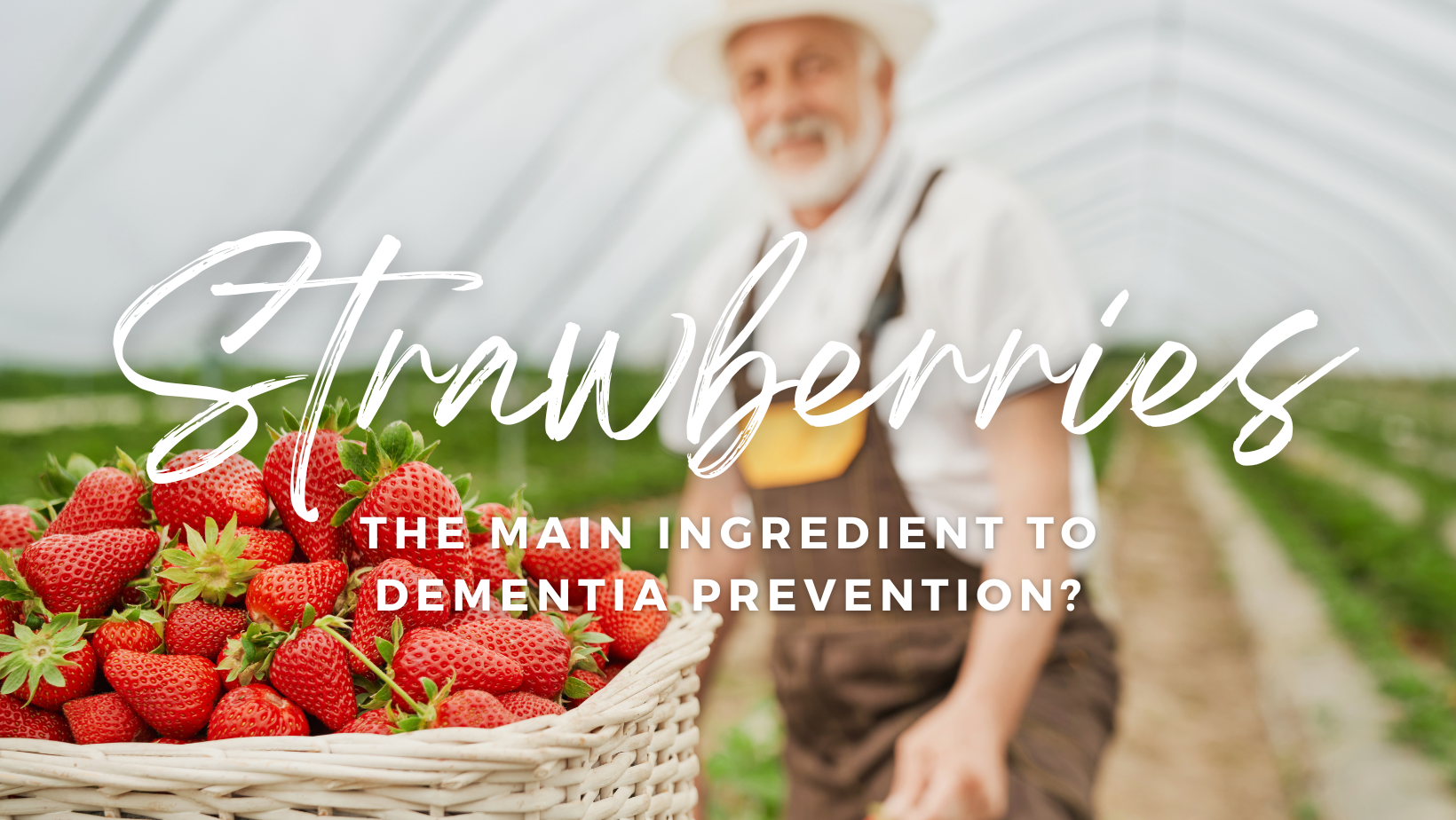 Strawberries might be the main ingredient to dementia prevention